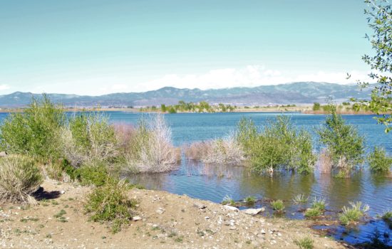 Beautiful 1.02 acres land in Alamosa, CO – Unit 2 Of Deer Valley Meadows, you can make this lot yours for just $1 down today!