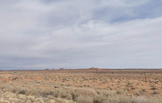 Splendid 1 acre parcel for just $49 down today in Navajo County – Arizona, reserve today!