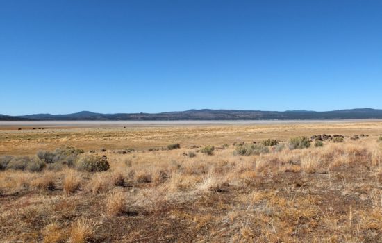 Live your dreams and get this gorgeous 1.52 acres parcel for just $899 down right in Klamath, Oregon!