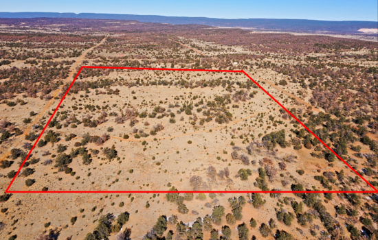 20 Wooded Acres in Cibola County, New Mexico – located to nearly unlimited outdoor activities – Owner Financing Available with $5,750 down!