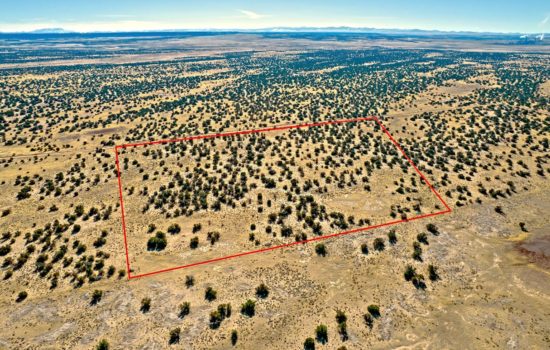 38.2 Acre Wooded Ranch With Easy Access and Pre-Installed Community Well – You can own this today for just $7,500 Down!