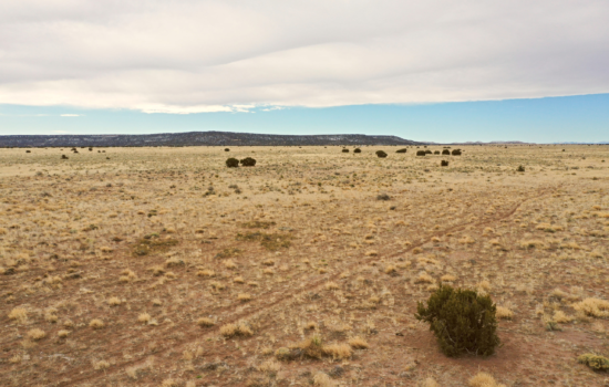 *Coming Soon* Reserve this 10 Acres lot today in Apache County, Arizona for just $499 down – Build your dream home!