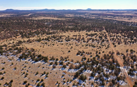 Bug out from the city on this 2.5 parcel in gorgeous Cibola County, NM – Just $299 down yours!