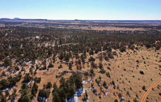 *Under Contract* Amazing 2.5 Acres vacant parcel of land in Cibola County, New Mexico For just $299 Down!