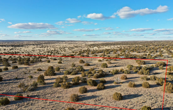 Another Wooded 10 Acres Located Just Off of Highway 191 in Apache County, Arizona for just $1,375 Down today!