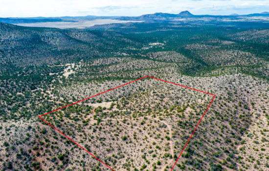 Become “King of the Hill” on This Stunning Wooded 40 Acre Mountain Top Property in Ash Fork, Arizona – Owner finance @ $15000 down today!