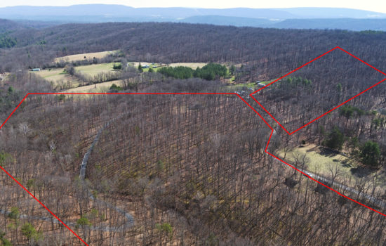 20.02 Wooded Acres With a Creek and County Road Frontage in Hampshire County, WV – Owner Financing available w/$20k down