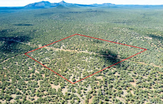 Welcome to paradise on this 39.81 acre ranch just North West of Ash Fork, AZ. With panoramic mountain views and some of the best Elk hunting in the world, this property won’t be available for long.