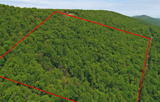 Wooded 13.05 Acres Near West Virginia and Maryland Border
