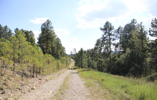 1.052 acres in the breathtaking Sacramento Mountains in Otero County, NM for Just $49 down & NO Doc Fee
