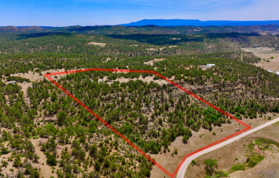 Wooded 17.76 Acres W/ a Well and Tiny Cabin in Las Animas County, CO