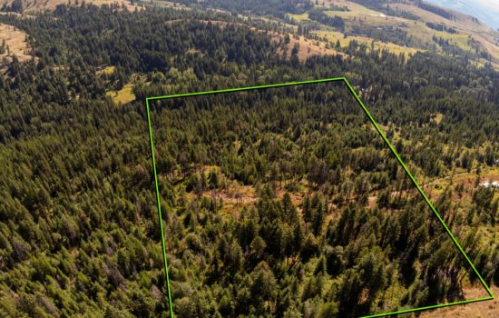 Wooded 20 Acre Near Curlew Lake, Washington In Ferry County w/Owner Finance @ $20k down!